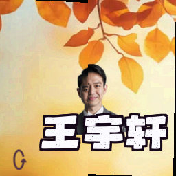 王宇轩